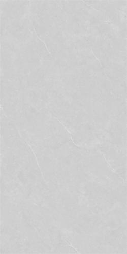 86LA1005G-PL 