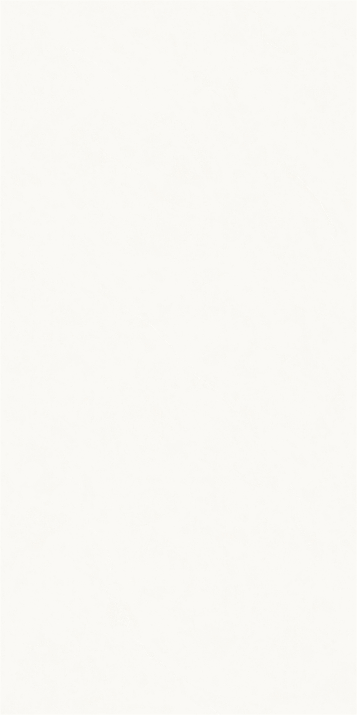 12PA1003CPL (4)