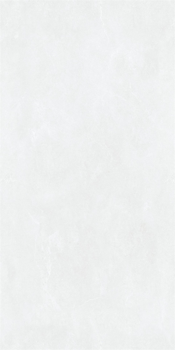 48LA022PL (3)