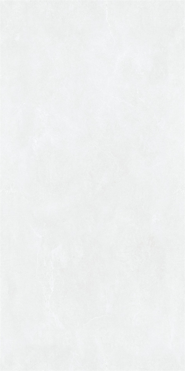 48LA022PL (4)