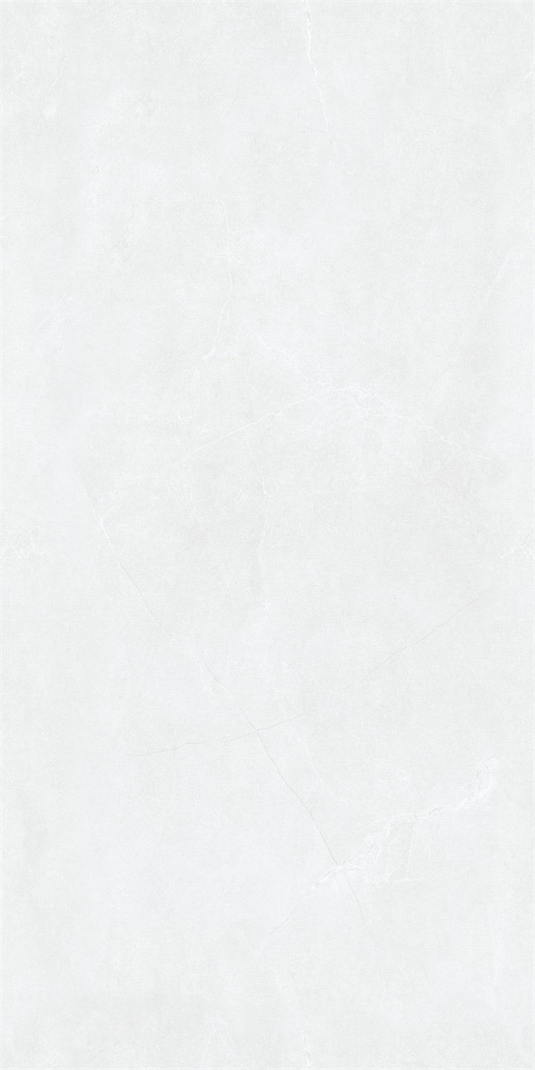 48LA022PL (2)