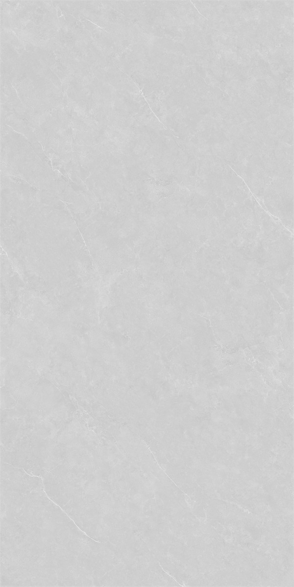 86LA1005G-PL (3)
