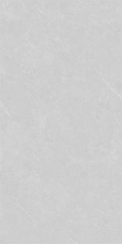 86LA1005G-PL (3)