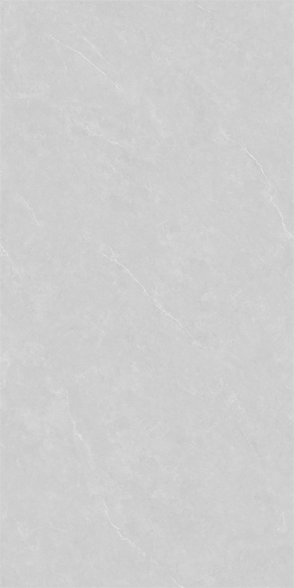 86LA1005G-PL (4)