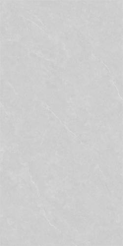 86LA1005G-PL (4)