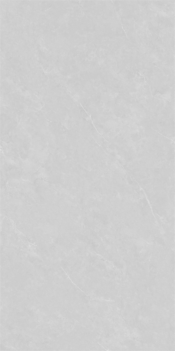 86LA1005G-PL (2)