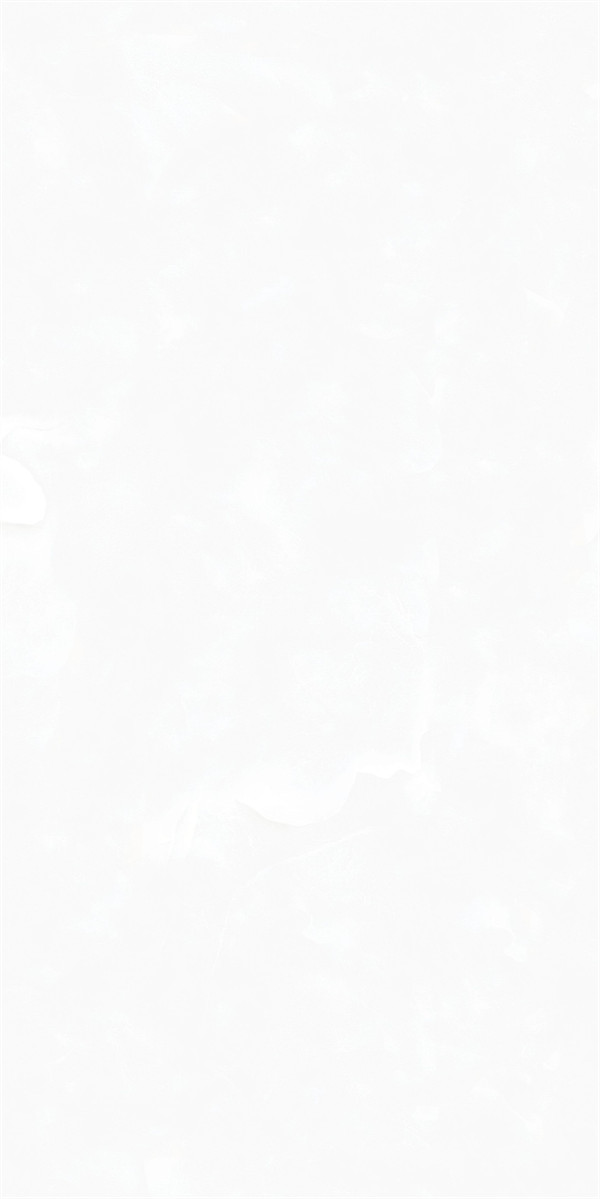 48LA2201PL-04