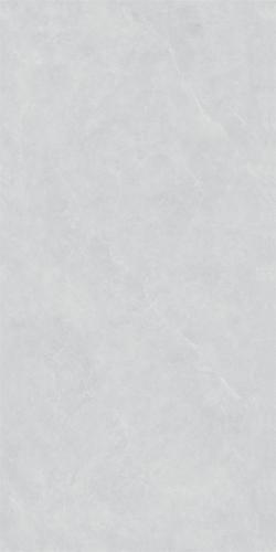 12LA196-PL (2)