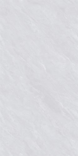 12LAE336PL (5)